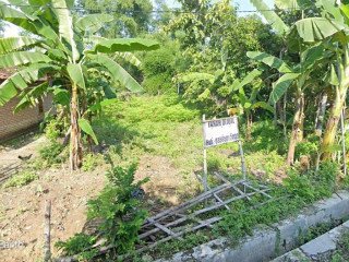 Dijual Tanah Strategis di Desa Jati, Soko Tuban