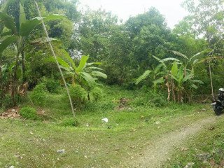 DIJUAL TANAH BOJONEGORO SHM