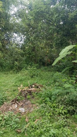 dijual-tanah-bojonegoro-shm-big-1