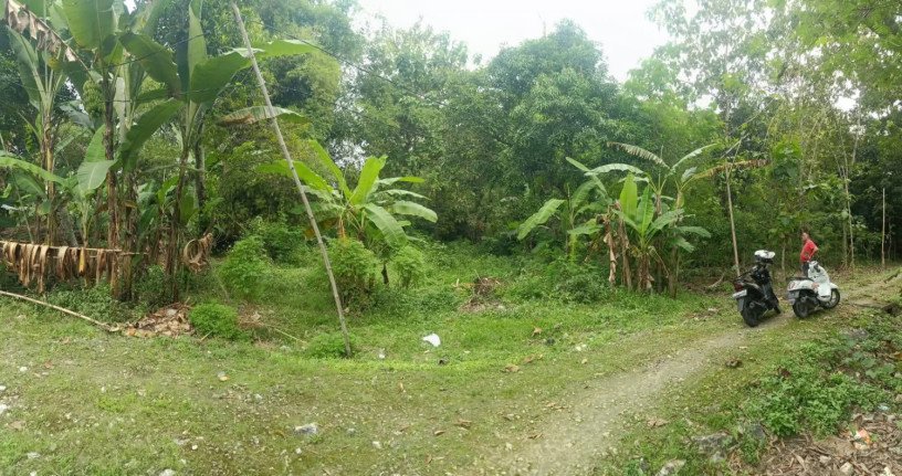 dijual-tanah-bojonegoro-shm-big-0