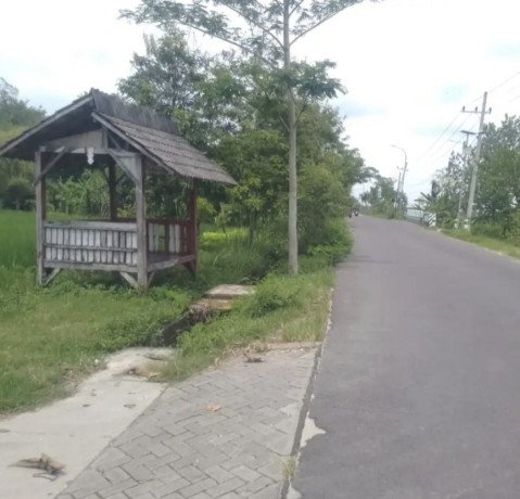 dijual-tanah-pertanian-strategis-desa-tanjungharjo-bojonegoro-big-1