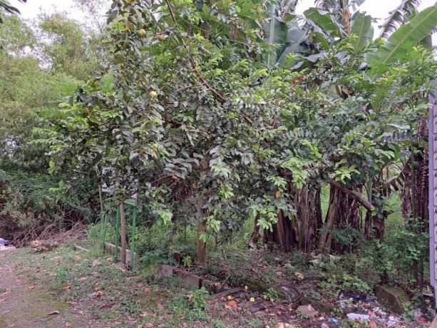 dijual-tanah-milik-pribadi-tengah-kota-bojonegoro-big-2