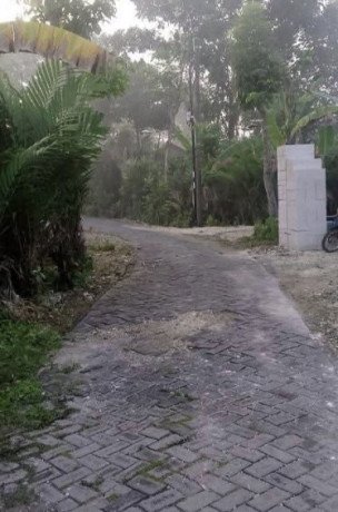 dijual-kebun-salak-wedi-kapas-bojonegoro-big-2