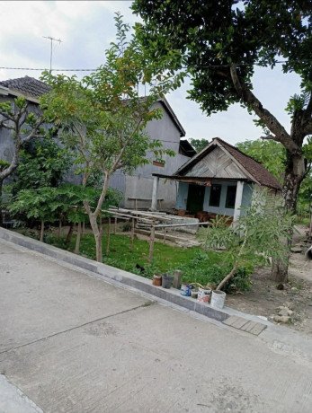 dijual-tanah-lokasi-sendangrejo-parengan-tuban-big-1
