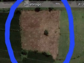 Dijual Lahan Strategis Pinggir Jalan Raya Jatirogo Bojonegoro
