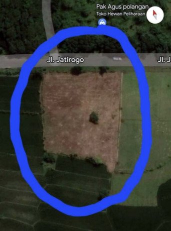 dijual-lahan-strategis-pinggir-jalan-raya-jatirogo-bojonegoro-big-0