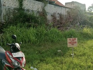 Dijual Cepat Tanah Strategis di SugiwarasTuban