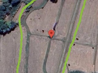 Dijual Sawah Strategis di Semanding Tuban