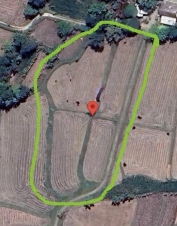 dijual-sawah-strategis-di-semanding-tuban-big-0