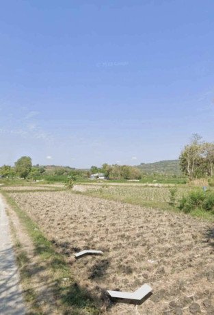 dijual-sawah-strategis-di-semanding-tuban-big-1