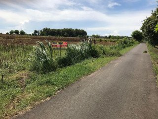 DIJUAL TANAH MILIK PRIBADI. Jenu, Kab. Tuban