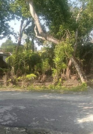 dijual-tanah-siap-bangun-kapas-bojonegoro-big-0