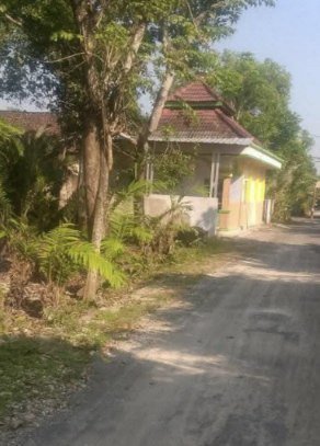 dijual-tanah-siap-bangun-kapas-bojonegoro-big-1