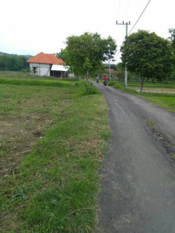 dijual-tanah-murah-lahan-sawah-karangrejo-penambangan-semanding-big-2