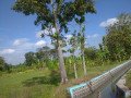 dijual-tanah-sawah-strategis-ngumpak-dalem-dander-bojonegoro-small-1