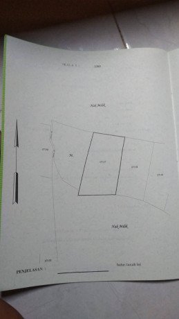 dijual-tanah-sawah-strategis-ngumpak-dalem-dander-bojonegoro-big-2