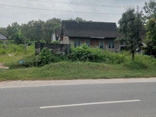 DIJUAL TANAH TRUTUP PLUMPANG BONUS RUMAH KAYU