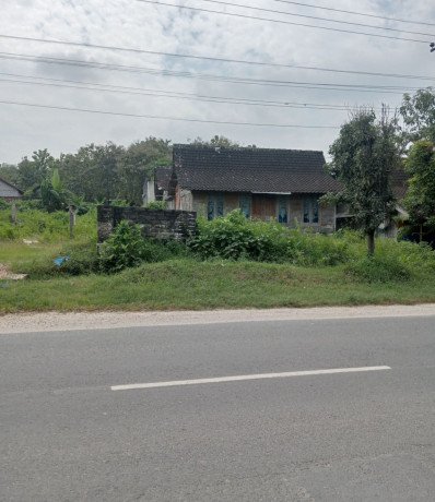 dijual-tanah-trutup-plumpang-bonus-rumah-kayu-big-0