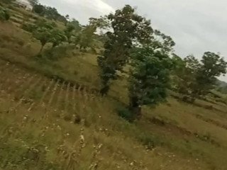 DIJUAL TANAH LUAS 6.357m² TAHULU NJAMBANGAN