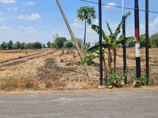 Disewakan Lahan untuk Pertanian atau Usaha, Dander Bojonegoro