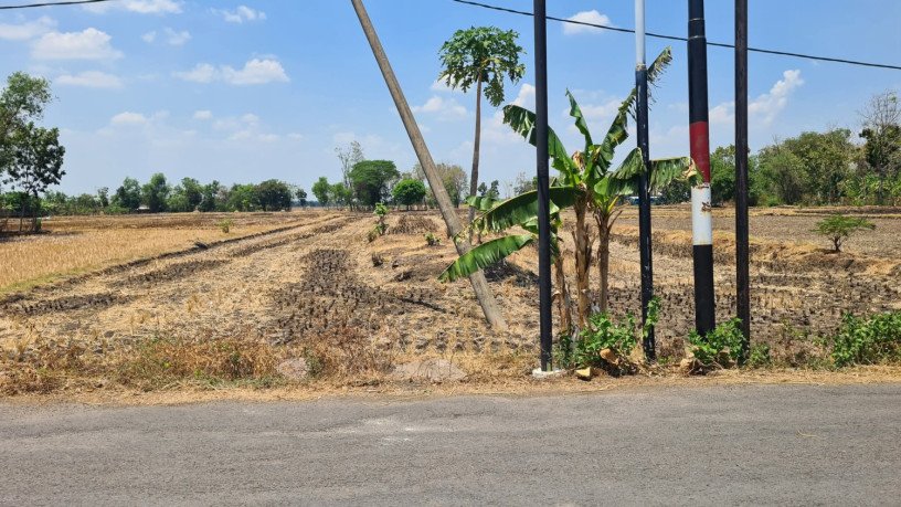 disewakan-lahan-untuk-pertanian-atau-usaha-dander-bojonegoro-big-0