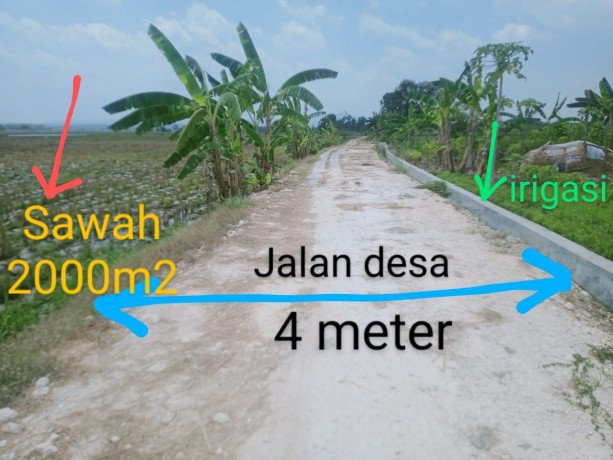 dijual-tanah-sawah-strategis-bojonegoro-kota-big-0