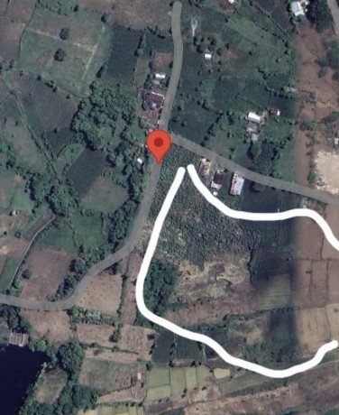 dijual-lahan-strategis-zona-industri-pabrik-semen-gresik-tuban-big-0