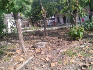 Dijual Tanah Strategis di Sumber Tlaseh Dander Bojonegoro