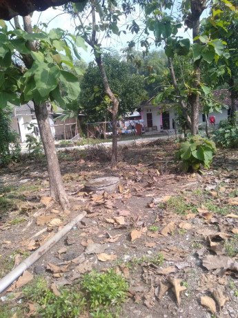 dijual-tanah-strategis-di-sumber-tlaseh-dander-bojonegoro-big-0