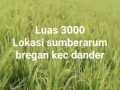 dijual-tanah-sawah-sumberarum-bregan-dander-small-0
