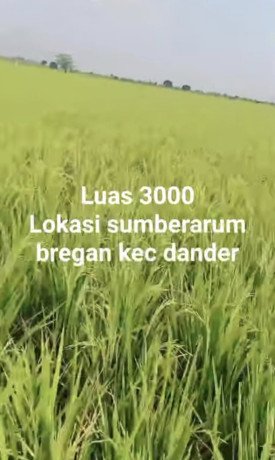 dijual-tanah-sawah-sumberarum-bregan-dander-big-0