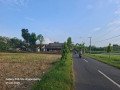 dijual-tanah-murah-nol-jalan-raya-semanding-tuban-small-0