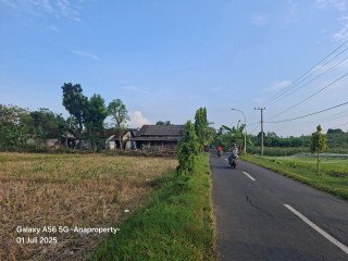 DIJUAL TANAH MURAH NOL JALAN RAYA! SEMANDING TUBAN