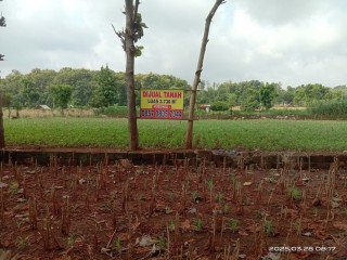 DIJUAL TANAH LUAS DI SEMANDING TUBAN