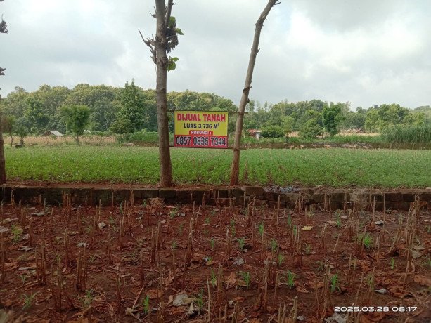 dijual-tanah-luas-di-semanding-tuban-big-0