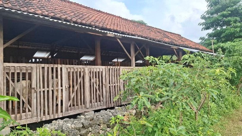 dijual-tanah-murah-sudah-shm-big-2