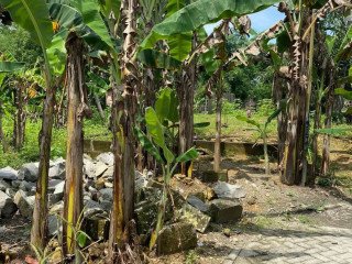 DIJUAL CEPAT TANAH PEKARANGAN SHM LOKASI STRATEGIS!