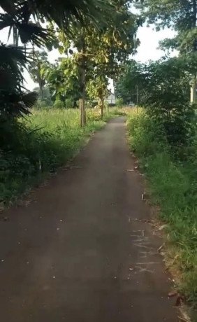 dijual-tanah-strategis-di-desa-kepet-big-0