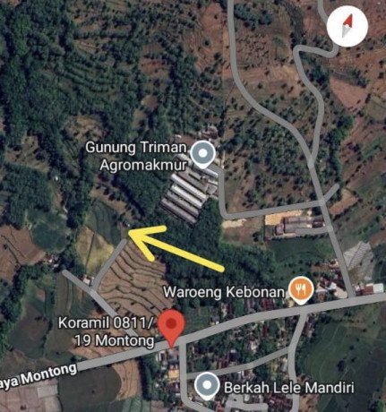 dijual-tanah-luas-17-hektar-lokasi-strategis-di-montong-tuban-big-2