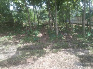 DIJUAL TANAH SIAP BANGUN TEMAYANG, BOJONEGORO