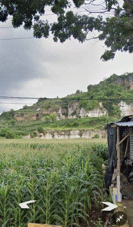 dijual-tanah-shm-cendoro-palang-tuban-big-2