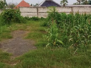 Dijual Tanah Murah Dekat Ringroad Tuban