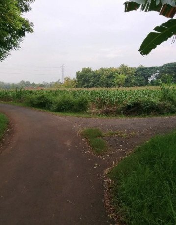 dijual-tanah-murah-dekat-ringroad-tuban-big-1