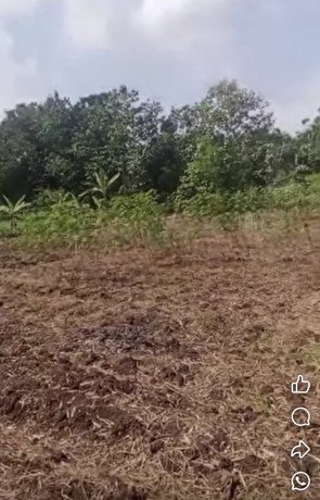 dijual-tanah-tegalan-produktif-baureno-desa-banjaran-big-0