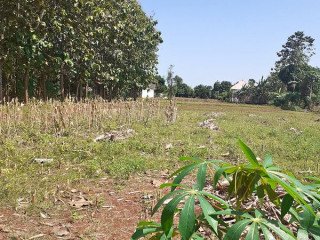 Dujual Tanah murah di dekat dengan Perumahan Mutiara Kopen Penambangan Semanding Tuban