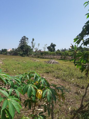 dujual-tanah-murah-di-dekat-dengan-perumahan-mutiara-kopen-penambangan-semanding-tuban-big-1