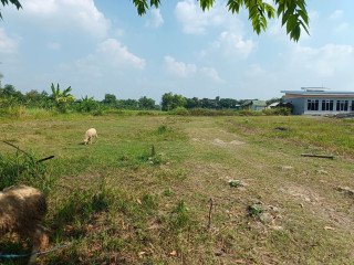 Dijual Tanah SHM Siap Bangun! Campurejo Bojonegoro