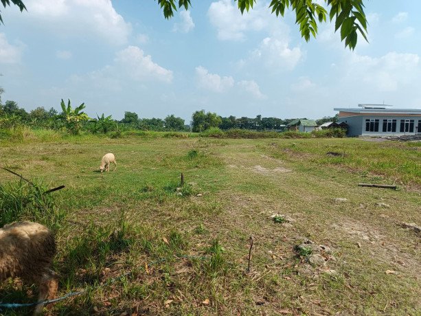 dijual-tanah-shm-siap-bangun-campurejo-bojonegoro-big-0