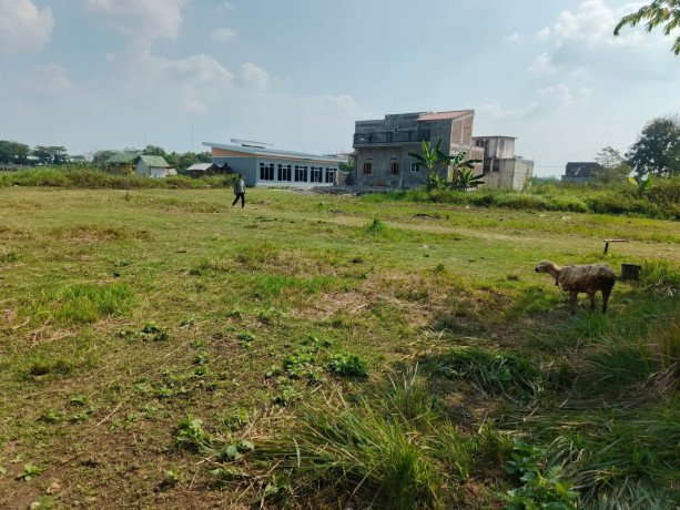 dijual-tanah-shm-siap-bangun-campurejo-bojonegoro-big-2