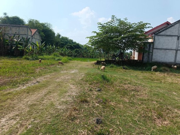 dijual-tanah-shm-siap-bangun-campurejo-bojonegoro-big-1